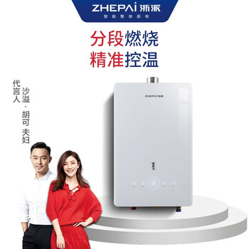 浙派（ZHEPΛi）13PE6Z15A-Z 燃气热水器 钢化彩晶玻璃 水气双调 恒温出水 电辅防冻 天然气