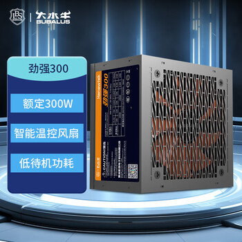 大水牛（BUBALUS）额定300W 劲强300台式电脑电源（12CM风扇/宽幅/智能温控/低待机功耗/支持背线）
