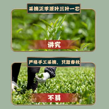 采茶伯茶叶乌龙茶 安溪铁观音500g正宗兰花香清香2026新茶叶袋装口粮茶