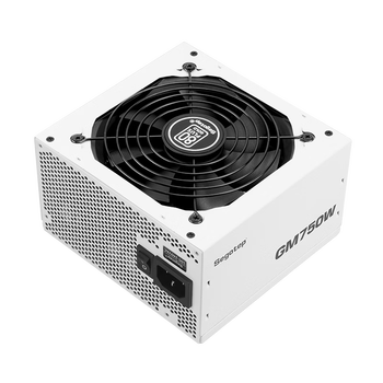 鑫谷(segotep)GM750W ATX3.1金牌全模组冰山版电源(12V-2X6支持5060Ti/5070Ti显卡/白色线材/台式电脑主机箱) 鑫谷(segotep)GM750W ATX3.1金牌全模组冰山版电源(12V-2X6支持5060Ti/5070Ti显卡/白色线材/台式电脑主机箱)