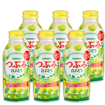 桃子橙子葡萄味 网红果粒果肉饮品儿童小瓶装  白葡萄果汁饮料380g*6