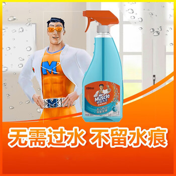 威猛先生  玻璃清洁剂500g*2瓶超值装 浴室车窗清洁剂 不留水痕 去污防尘 持久洁净(新老包装随机）