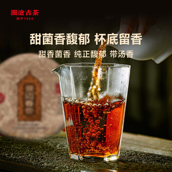 澜沧古茶 2024年景迈春香熟茶 景迈山春茶老树拼古树普洱茶茶叶357g