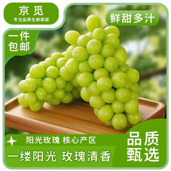 晴王葡萄价格报价行情- 京东