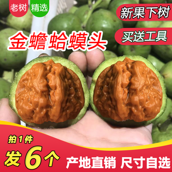 文玩核桃49价格报价行情- 京东