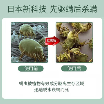 金鸟(KINCHO)日本驱螨包植物驱螨虫除螨虫床沙发驱螨神器免洗1盒2个装 金鸟(KINCHO)日本驱螨包植物驱螨虫除螨虫床沙发驱螨神器免洗1盒2个装