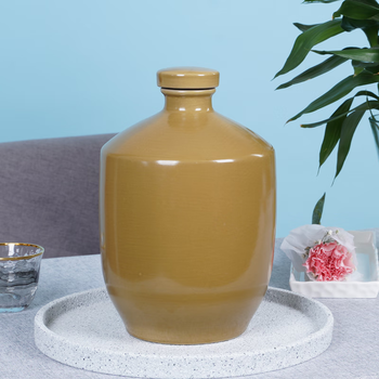 德梵蒂泡酒专用瓶5斤装酒罐酒坛陶瓷土陶家用酒缸二私藏一密封10老式3