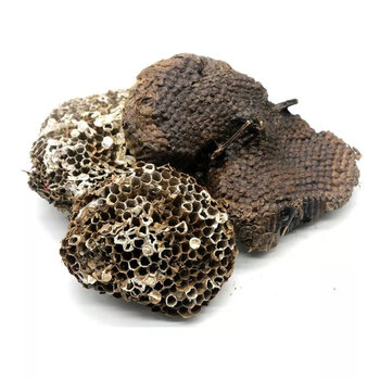 药材软黄胡蜂房巢煮水牙疼100克马蜂窝蜂窝野生内廷上用 软蜂房100克