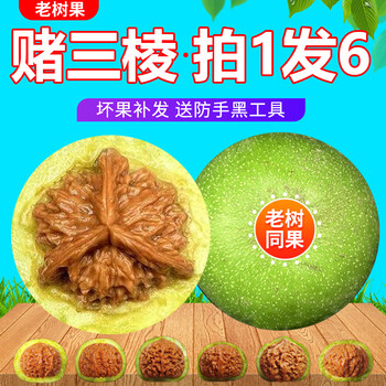 核头文玩核桃品牌及商品- 京东