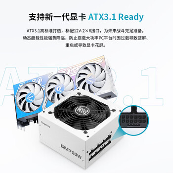 鑫谷(segotep)GM750W ATX3.1金牌全模组冰山版电源(12V-2X6支持5060Ti/5070Ti显卡/白色线材/台式电脑主机箱) 鑫谷(segotep)GM750W ATX3.1金牌全模组冰山版电源(12V-2X6支持5060Ti/5070Ti显卡/白色线材/台式电脑主机箱)