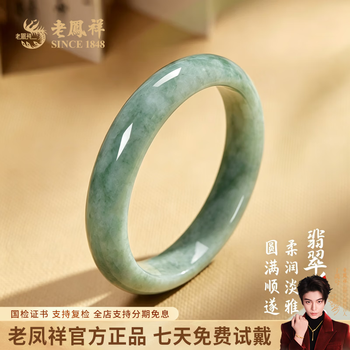 飘蓝翡翠手镯- 京东