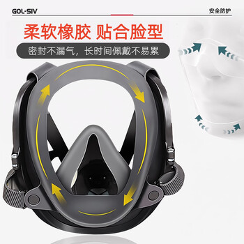 胜丽M6800防毒面具全面罩喷漆专用 过滤式化工厂防毒面罩口罩 A类防有机气体蒸汽/苯/有毒气体等配M6001滤盒 胜丽M6800防毒面具全面罩喷漆专用 过滤式化工厂防毒面罩口罩 A类防有机气体蒸汽/苯/有毒气体等配M6001滤盒