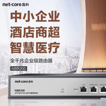 磊科（netcore）NBR200全千兆企业路由器 多WAN口 VPN虚拟专网/云端管理/AC管理/带宽叠加/带机量200