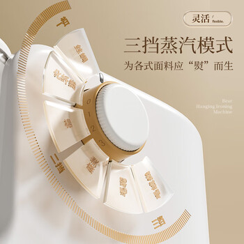 小熊（Bear）立式挂烫机40g/min大蒸汽1.8L大水箱家用熨烫机手持蒸汽熨斗大功率团购（不带熨烫板）GTJ-T20F1