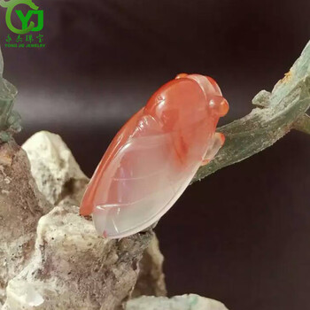 【 玉蝉瑪瑙根付 明～清朝期】　倣古葬玉　中華古玩 　　L0205F 玉蝉瑪瑙根付 明～清朝期】 倣古葬玉 中華古玩 L0205F 玉蝉瑪瑙