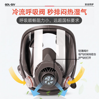 胜丽M6800防毒面具全面罩喷漆专用 过滤式化工厂防毒面罩口罩 A类防有机气体蒸汽/苯/有毒气体等配M6001滤盒 胜丽M6800防毒面具全面罩喷漆专用 过滤式化工厂防毒面罩口罩 A类防有机气体蒸汽/苯/有毒气体等配M6001滤盒