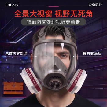胜丽M6800防毒面具全面罩喷漆专用 过滤式化工厂防毒面罩口罩 A类防有机气体蒸汽/苯/有毒气体等配M6001滤盒 胜丽M6800防毒面具全面罩喷漆专用 过滤式化工厂防毒面罩口罩 A类防有机气体蒸汽/苯/有毒气体等配M6001滤盒