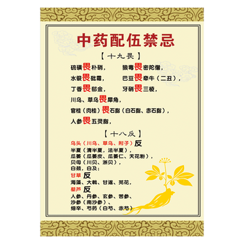 wsa22 中药配伍禁忌 80*60厘米 覆膜防水贴纸