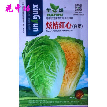 花中酷大白菜种子早熟黄心白菜种子家庭菜园盆栽易种种子炫桔红心白菜约300粒 原装 图片价格品牌报价 京东