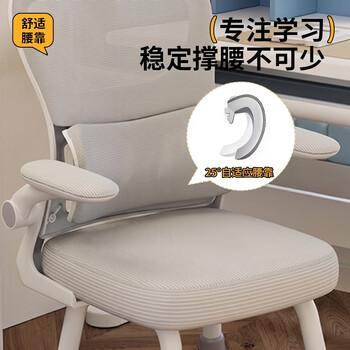 卓博电脑椅家用学习椅升降椅座椅靠背椅子BT22灰色四腿升降带腰靠