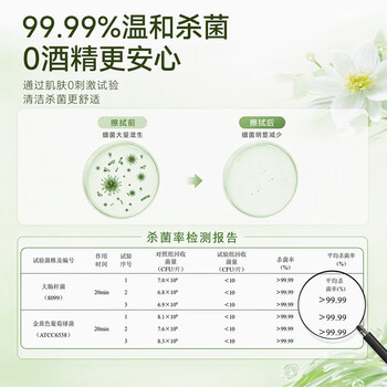 京东京造极地花杀菌湿巾80片*6包 99.9%杀菌卫生湿纸巾 加大加厚医护级