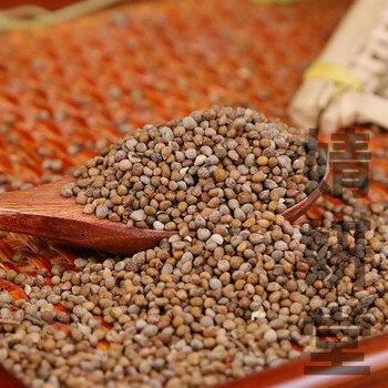 北京同仁堂原料紫苏籽中药材新货紫苏子 食用熟苏子籽 生苏子籽可榨油