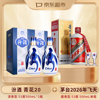 53度汾酒青花20年价格报价行情- 京东