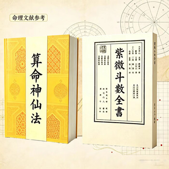 紫微斗数全书- 京东