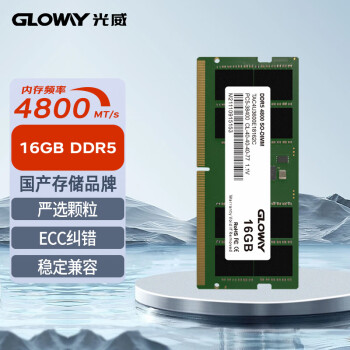 光威（Gloway）16GB DDR5 4800 笔记本内存条 天策S系列 助力AI 适配黑神话悟空