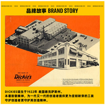 Dickies电脑包双肩背包男女DK旅行包大容量可放15.6英寸笔记本学生书包