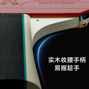 京东京造 雨燕一星乒乓球拍双拍2只装直直对拍训练套装双面反胶1星 直直板