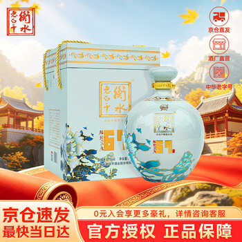 【ＮＡＫＡM UＲＡ様】白酒　衡水　老白干【珍藏版】67度　2本セット 新67度衡水老白干价格价格报价行情- 京东