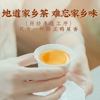 珍茶师乌龙茶凤凰单枞鸭屎香特级500g罐装潮州单丛茶叶送礼