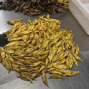 和成天下湘潭青果槟榔锡纸包裹精致槟榔独立包装散装槟榔 50品质2大包