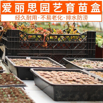 爱丽思 育苗箱树脂S5育苗盘多肉育苗花盆蔬菜育苗盆种植盆多肉育苗箱子 510育苗盘-1个