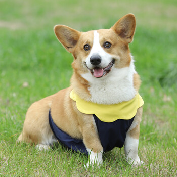 犬专用防着凉宠物狗夏天雨衣防脏狗狗衣服 升级款肚兜藏青色_护肚透气