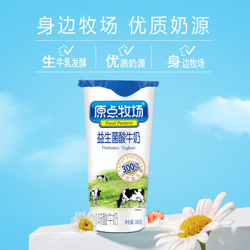 银桥 原点牧场益生菌发酵乳酸牛奶原味风味奶180g*12营养牛奶整箱
