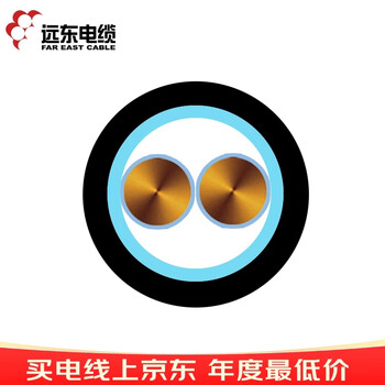 远东电缆 YJV22-2*6铜芯钢带铠装电力电缆 1米【有货期50米起订不退换】