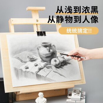 Touch mark素描铅笔炭笔12支亚光美术生绘画专用软性碳笔学生绘图考试画画套装初学者考试画画专用开学季