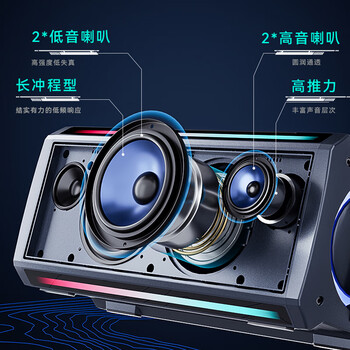 索爱（soaiy）SH05户外K歌5.3蓝牙音箱声卡音响一体机四喇叭双振膜立体声重低音炮混响广场舞直播带2个麦克风