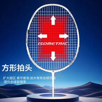 尤尼克斯（YONEX）羽毛球拍天斧进攻高磅全碳素进阶比赛AX10白亮黑单拍已穿线附手胶