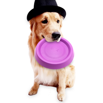 成都有没有代训狗的 我家边牧管不住了 咬人 问问 龙奇网 Looqii Com