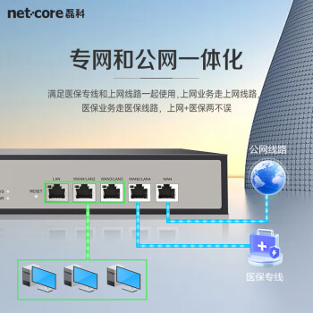 磊科（netcore）NBR200全千兆企业路由器 多WAN口 VPN虚拟专网/云端管理/AC管理/带宽叠加/带机量200