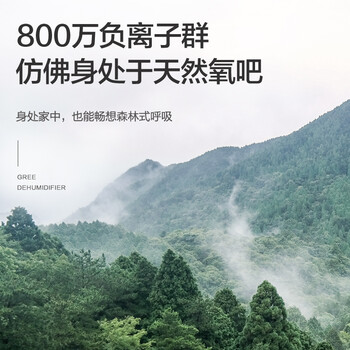 格力(GREE)许我耀眼推荐【轻音小巧 空气净化】除湿机抽湿机家用12升除潮防霉负离子净化单间≤24㎡DH12ENA1A 格力(GREE)许我耀眼推荐【轻音小巧 空气净化】除湿机抽湿机家用12升除潮防霉负离子净化单间≤24㎡DH12ENA1A