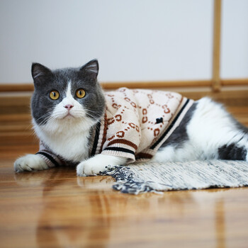 宠物开衫毛衣猫咪衣服秋冬装宠物加厚保暖潮牌开衫英短美短蓝猫橘猫