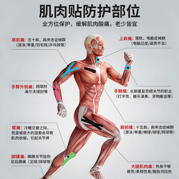 李宁肌肉贴运动胶带肌内效贴胶布运动员专用脚踝绑带康复弹力绷带膝盖 李宁肌肉贴运动胶带肌内效贴胶布运动员专用脚踝绑带康复弹力绷带膝盖