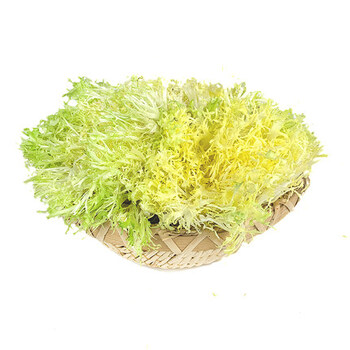 新鲜苦菊500克 新鲜苦叶苦苣苦菜生菜 沙拉菜苦细叶生菜 狗牙菜 黄心