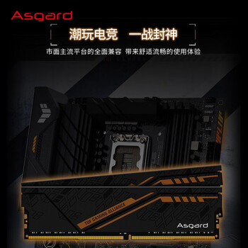 阿斯加特（Asgard）32GB(16GBx2) DDR4 3200 台式机内存条 金伦加&TUF联名款 马甲条 精选颗粒 CL18 黑橙甲