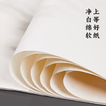 六品堂宣纸8k绘画生白色书法生宣国画工笔画美术学生专用纸练习生宣空白60张小学生幼儿园美术生专用