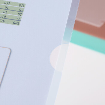 齐心(Comix)10个装A4L型文件套 透明单片夹 加厚二页式资料文件夹文件快递袋E310